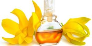 Ylang Ylang Oil