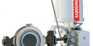 VALDISK Control Valve