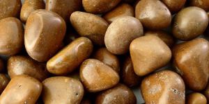 Camel(Polished Peebles)