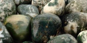 Green Tree(Polished Peebles)