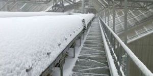 Cold Resistant Belts