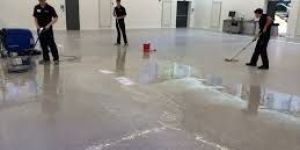 Floor Treatment Services