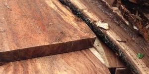 Tamarind Wood , Puli Wood