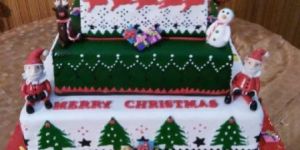 Merry Christmas Cake