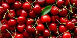 Fresh Cherry
