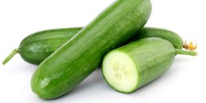 Fresh Cucumber