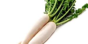 Fresh Radish