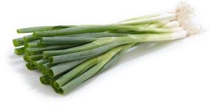 Fresh Spring Onion