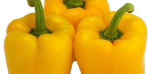 Fresh Yellow Pepper