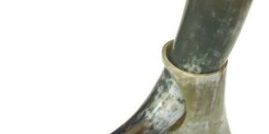 Long Natural Drinking Horn / Viking Drinking Horn / Buffalo Horn Polished