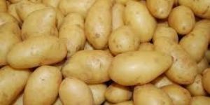 Fresh Potato