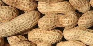 Shelled Groundnuts