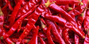 Teja Dry Red Chilli