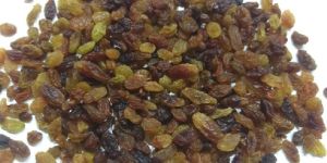 Malayar Raisins