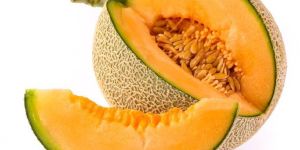 Fresh Muskmelon