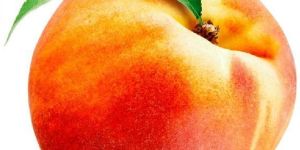 Fresh Peach