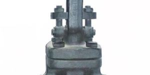 Forged Steel Gate Valve