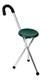 Walking Stick with Seat