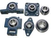 Pillow Block Bearings