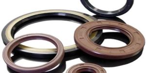 Oil Seal