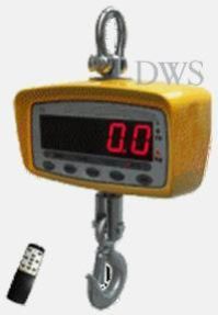 Portable Crane Scale