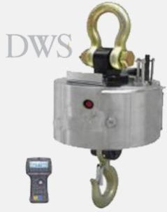 Wireless Crane Scale