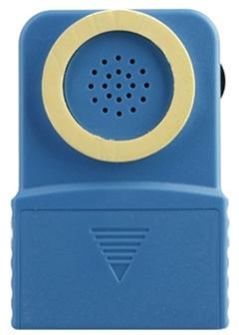 Voice Changer Device