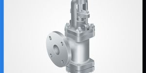 Accessible Feed Check Valve