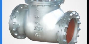 Swing Check Valves