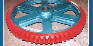 Worm Wheel