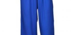 Royal Blue Pleated Rayon Palazzo