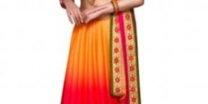 Stylee Lifestyle Multi Chiffon Embroidered Saree