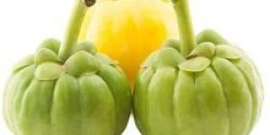 Organic Skin Care Products