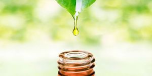 Organic Tea Tree Oil