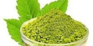 Organic Tulsi Extract