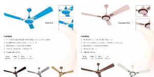 RR Celerity Ceilling Fan