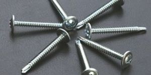Wafer Screws