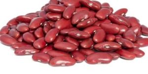 Rajma Red