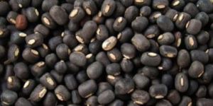 Urad Whole