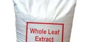 Whole Leaf Extract Powder