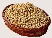 Soya Nuts Diet Snacks