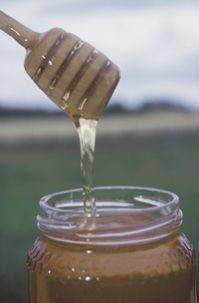 Sugar Free Honey