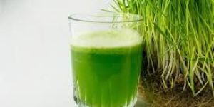 Wheat Grass Juice