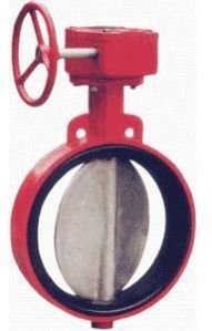 Butterfly Valve