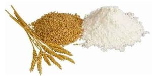 Wheat Flour