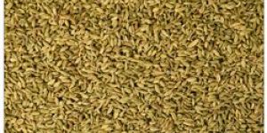 Fennal Seeds