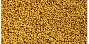 Fenugreek Seeds