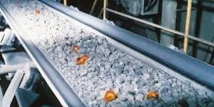 Fire Resistant Conveyor Belt