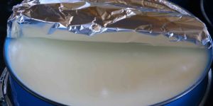 White Petroleum Jelly