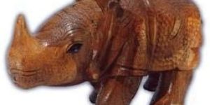 Rhino Carving